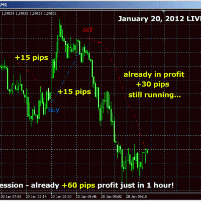 100 Pips Daily Scalper by Karl Ditman