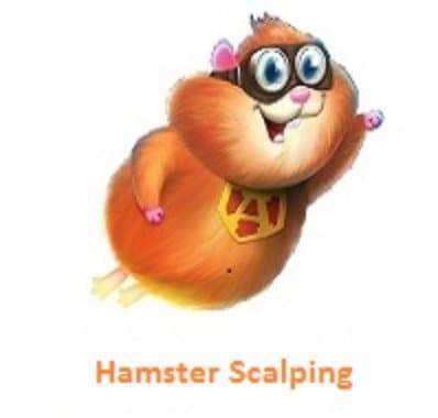 Hamster Scalping EA from MQL5 Market