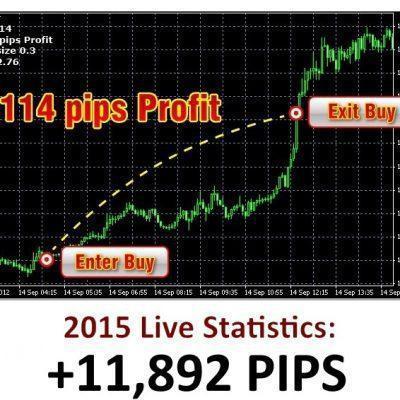 Trade with Todd 1 + 2