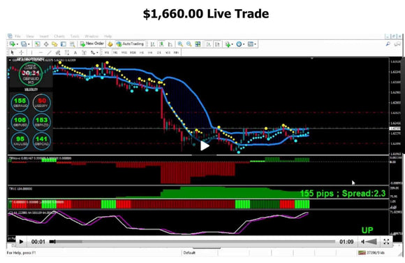 Ultimate Profit Solution by Toshko Raychev