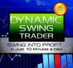 Netpicks Dynamic Swing Trader (MT4) 2019 (latest)